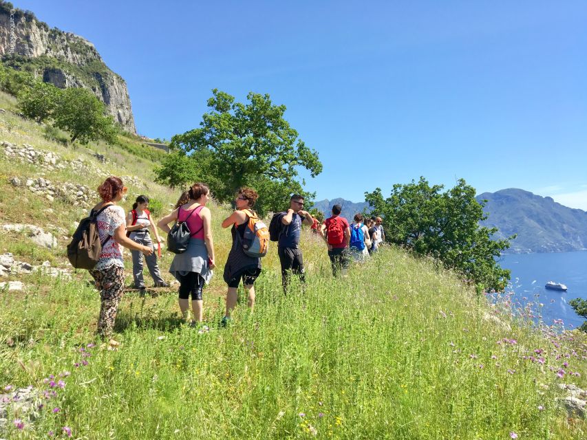 Amalfi: Walking tour between Furore vertical Vineyards - Entering Furore’s vertical vineyards