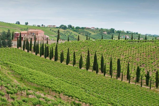 Among ancient sunny vineyards, visit and taste the wines from the San Lorenzo cellar - Key points at a glance
