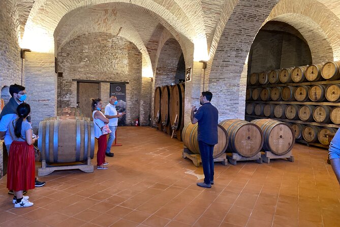 Among ancient sunny vineyards, visit and taste the wines from the San Lorenzo cellar - Seeing how the winery works