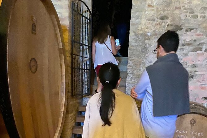 Among ancient sunny vineyards, visit and taste the wines from the San Lorenzo cellar - The story of Vini San Lorenzo