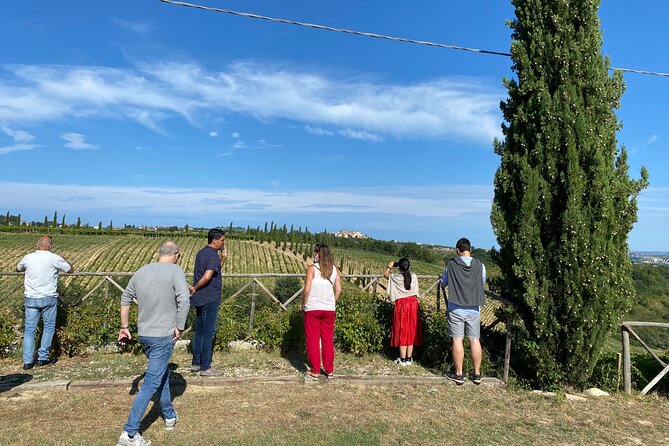Among ancient sunny vineyards, visit and taste the wines from the San Lorenzo cellar - Is $34.73 a fair price?