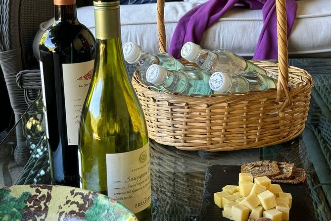 Andes Portillo & Aconcagua wine tour semi private - Who should book this Andes and wine tour?