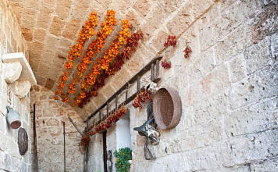 Apulia: Guided Vineyard Tour with Wine Tasting - Arriving at the Itria Valley estate