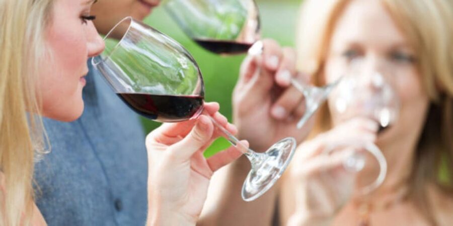 Apulia: Guided Vineyard Tour with Wine Tasting - Matching Apulian wines with local food
