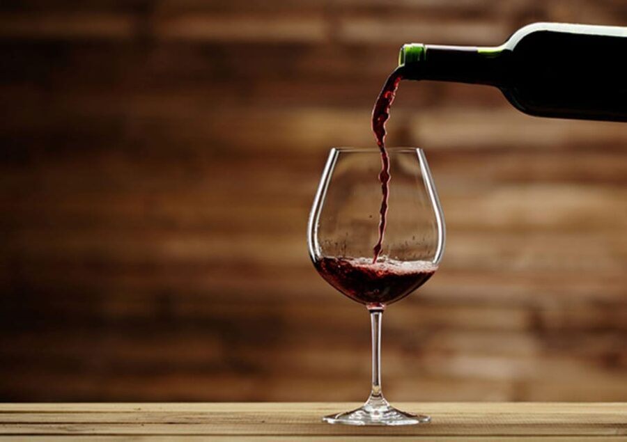 Apulia: Guided Vineyard Tour with Wine Tasting - What the guides add to the experience