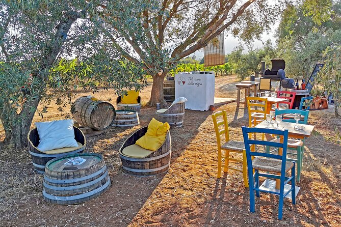Archeology, visit to a vineyard and wine and pecorino cheese tasting - A working vineyard in the Orosei countryside