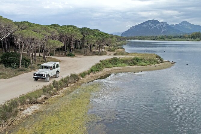 Archeology, visit to a vineyard and wine and pecorino cheese tasting - Su Barone wetlands and Sardinian birdlife