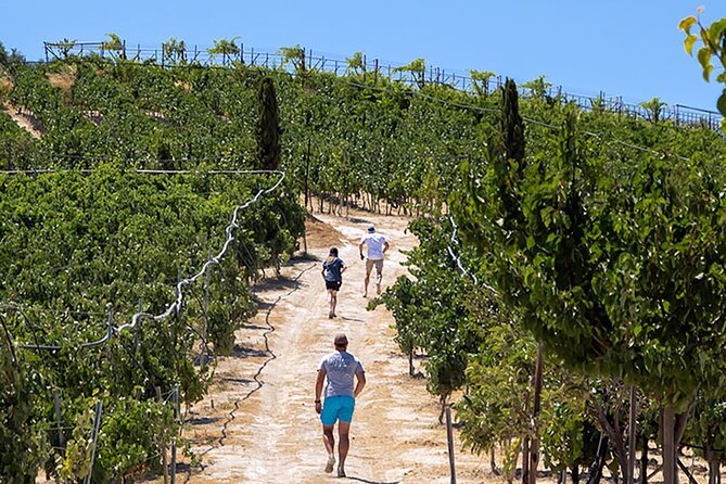 “ARISMARI” – Vineyard Tour & Wine Tasting - Key points at a glance