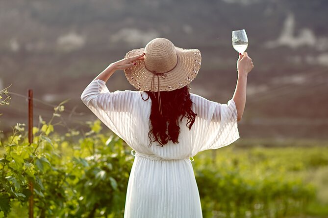 “ARISMARI” – Vineyard Tour & Wine Tasting - What happens at Douloufakis Winery