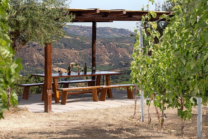 “ARISMARI” – Vineyard Tour & Wine Tasting - Why the small group matters