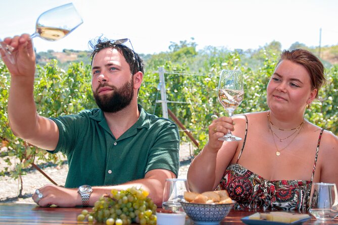 “ARISMARI” – Vineyard Tour & Wine Tasting - A relaxed pace is the main attraction