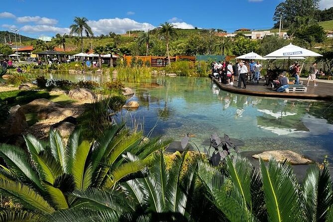 Art Of Wine – Travel Through The So-Called Wine Route Visiting Various Wineries - Who should book this São Roque wine tour?
