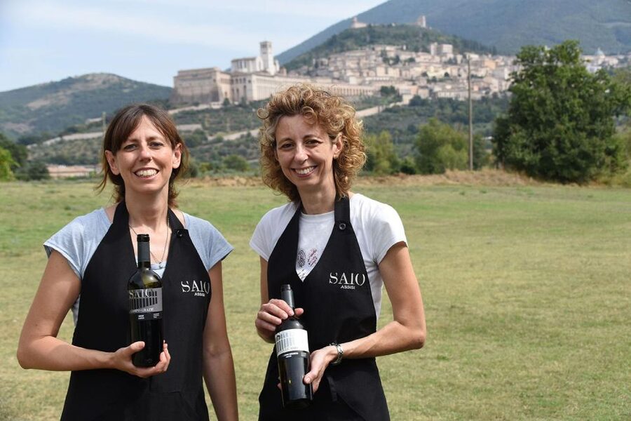 Assisi: Wine tasting, gourmet pairing, walk in the vineyards - Key points at a glance