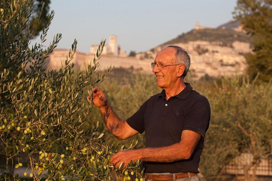 Assisi: Wine tasting, gourmet pairing, walk in the vineyards - How the value compares with the time