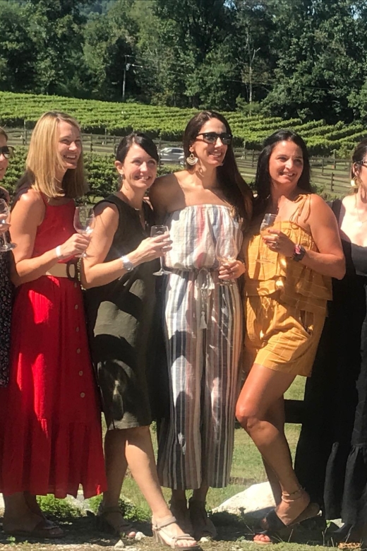 Atlanta pickups: North Georgia Wine Country 3 Vineyard Tour - Stop One: A 70-Minute Introduction to Local Wine