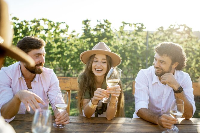 Atlanta Vineyards and Wines Full-Day Private Tour - Key points about this Georgia wine day