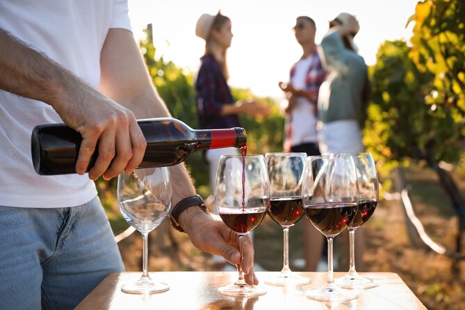 Atlanta Vineyards and Wines Full-Day Private Tour - The tasting lesson is a real advantage