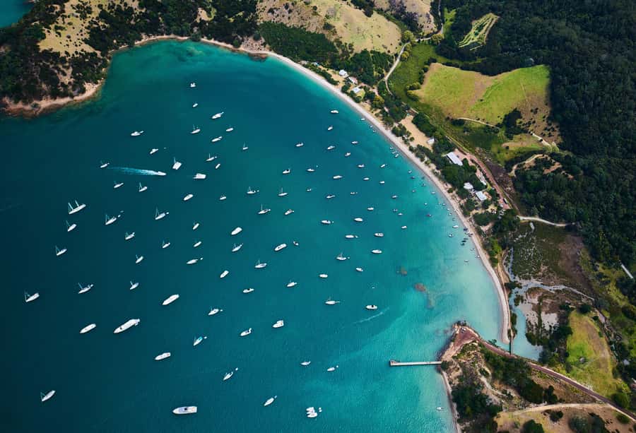 Auckland: Man O' War Vineyard Ferry (Waiheke Island) - Why Man O War Bay makes this ferry trip different