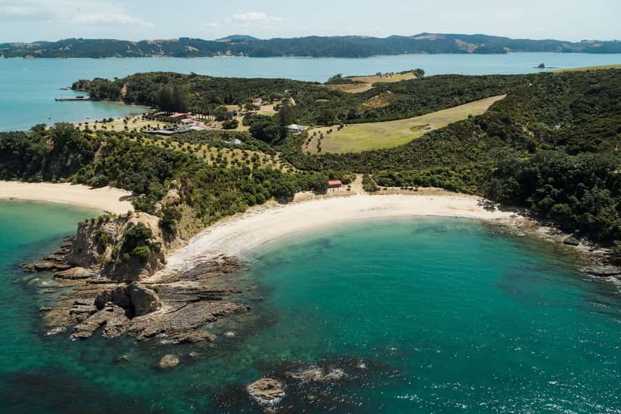 Auckland: Rotoroa Island and Man O'War Vineyard Combo Tour - Rotoroa Island: two hours of walking, wildlife, and beach time