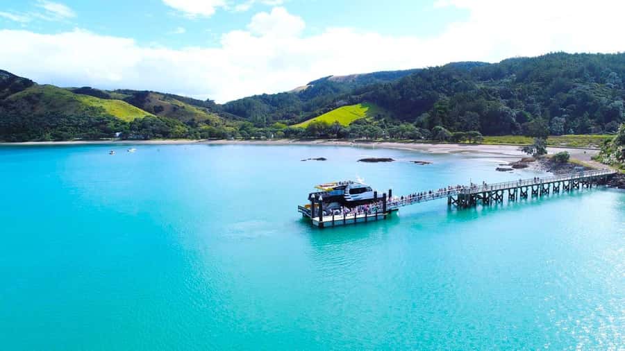 Auckland: Rotoroa Island and Man O'War Vineyard Combo Tour - Who will enjoy this trip most?