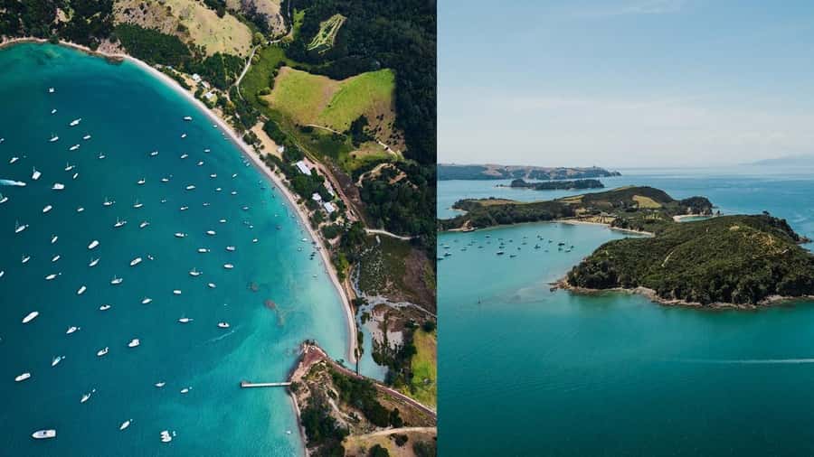 Auckland: Rotoroa Island and Man O'War Vineyard Combo Tour - The Auckland departure and 75-minute cruise