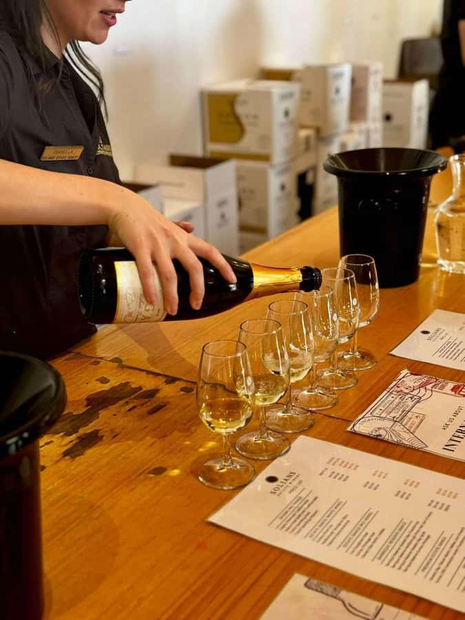 Auckland: Wine region tour with tastings and gourmet lunch - Key points to know before booking