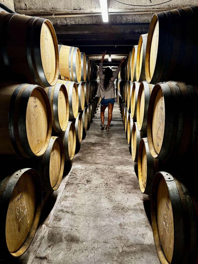 Auckland: Wine region tour with tastings and gourmet lunch - Why West Auckland makes a good wine day