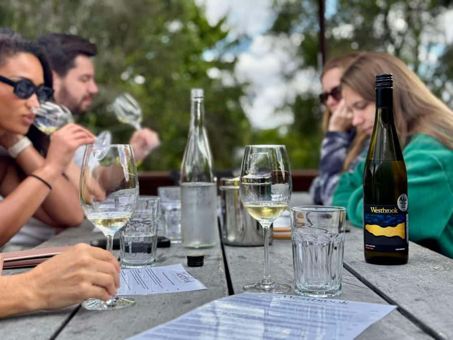 Auckland: Wine region tour with tastings and gourmet lunch - Timing, pickup, and practical details