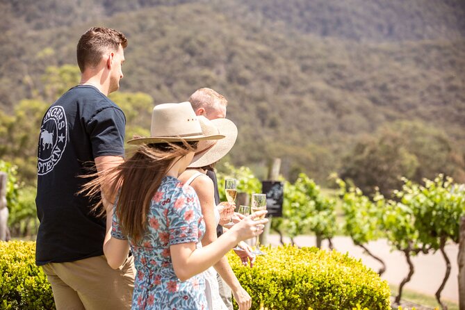 Audrey Wilkinson Vineyard: Picnic with Wine Masterclass Tasting - Finding your picnic spot among the vines