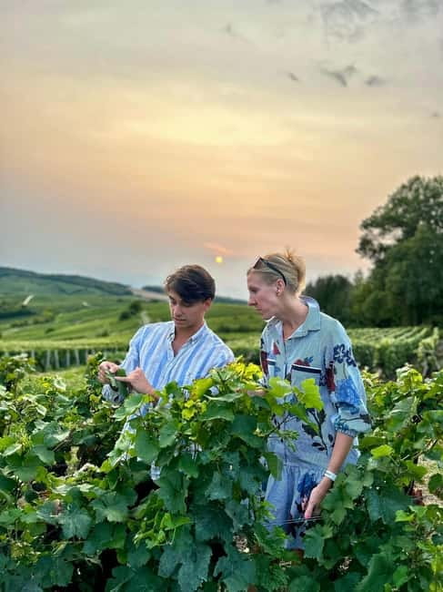 Authentic Champagne Tour: 3 vineyards, 10 Tastings & Lunch - Key Points at a Glance