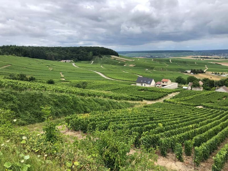 Authentic Champagne Tour: 3 vineyards, 10 Tastings & Lunch - Lunch at a Local Table or Winemaker’s Home
