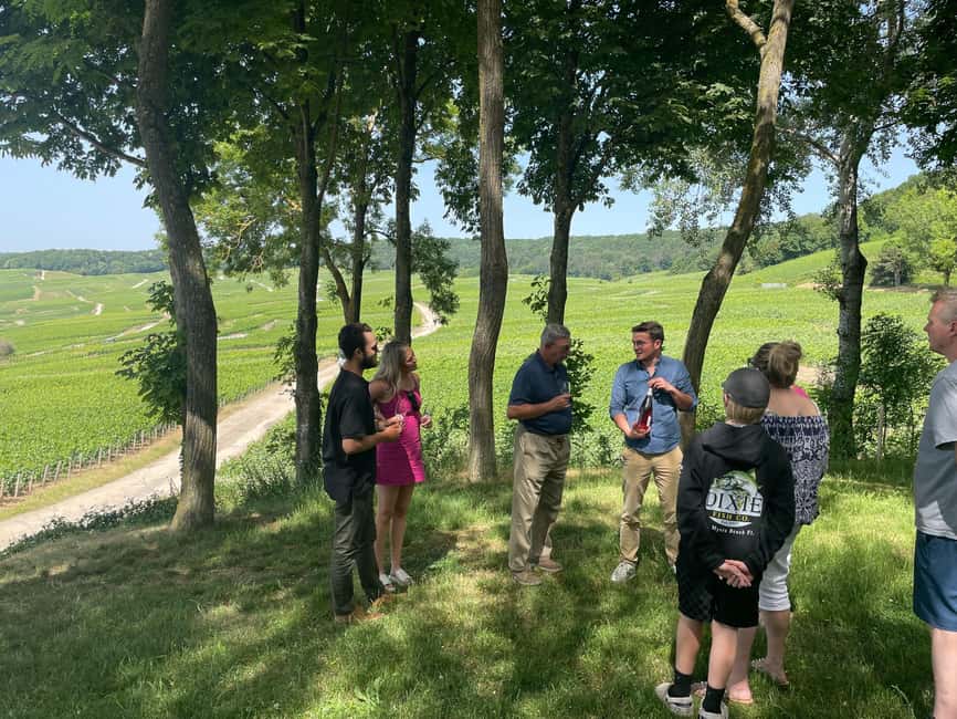 Authentic Champagne Tour: 3 vineyards, 10 Tastings & Lunch - What More Than Ten Cuvées Really Means