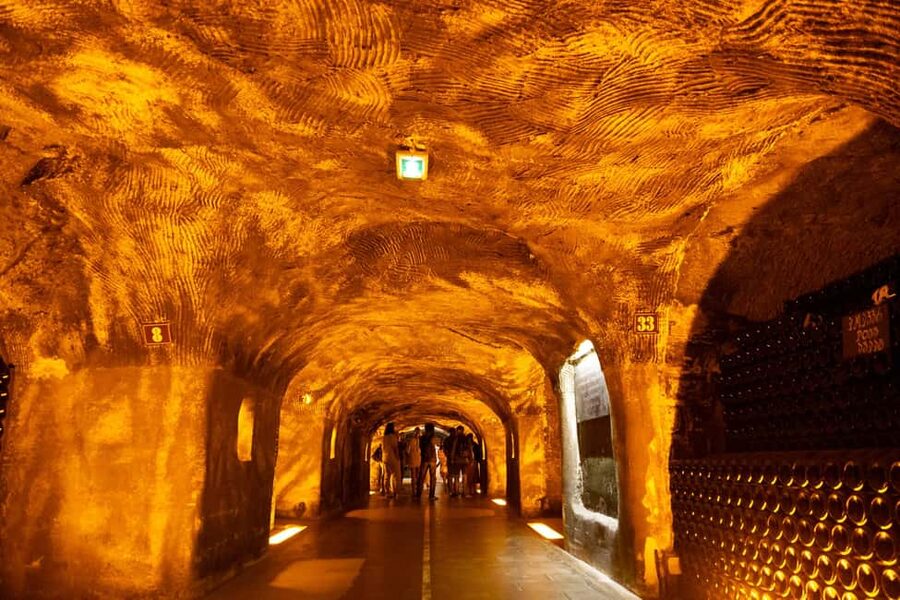 Authentic Champagne Tour: 3 vineyards, 10 Tastings & Lunch - Is $365 a Fair Price?