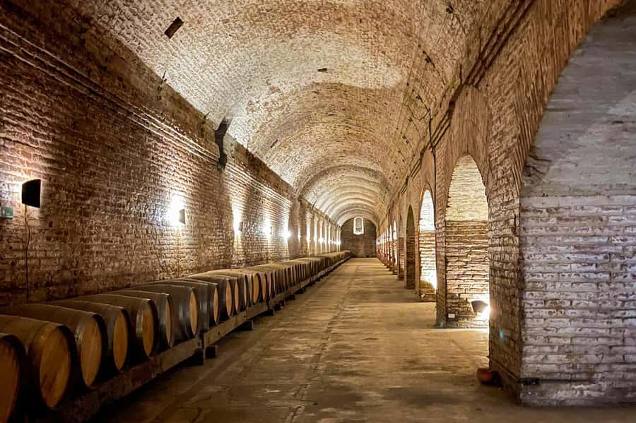 Bahá'i Temple and Cousiño Macul Vineyard - What the $96 price really buys you