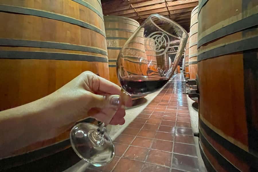 Bahá'i Temple and Cousiño Macul Vineyard - Who should book this outing