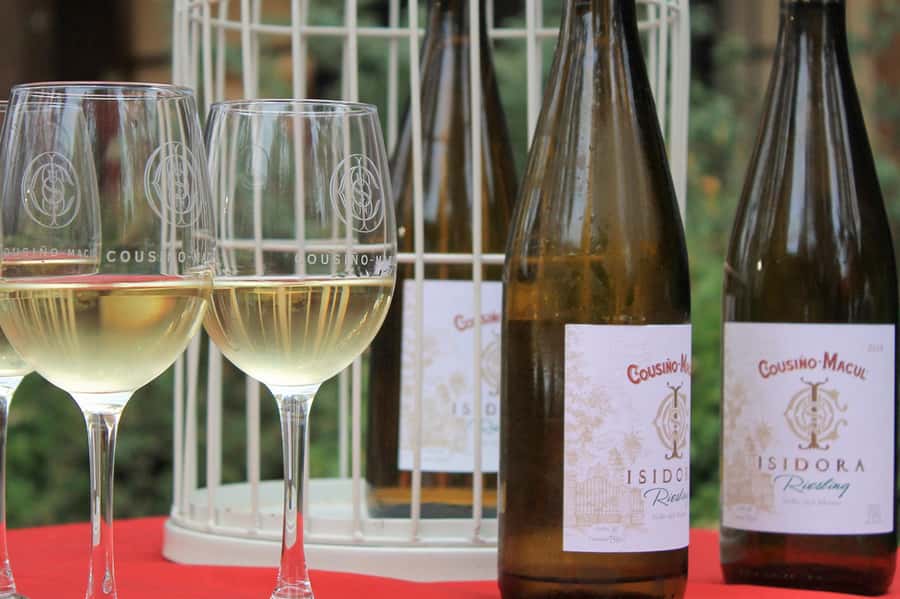 Bahá'i Temple and Cousiño Macul Vineyard - Should you book the Bahá’i Temple and Cousiño Macul Vineyard?