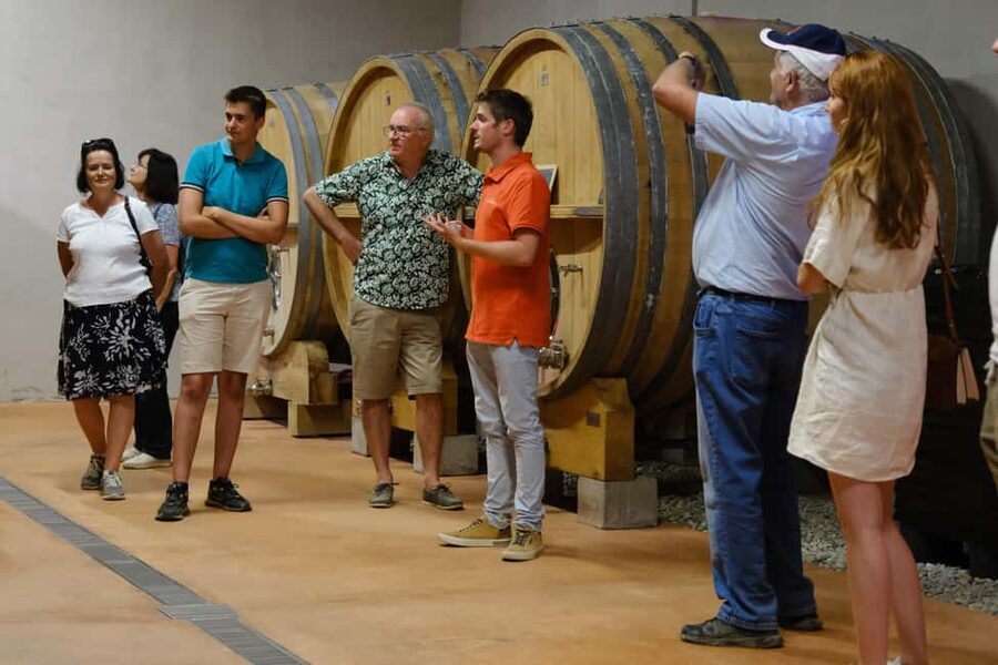Bandol: Family Vineyard Tour and Tasting - Key points at a glance