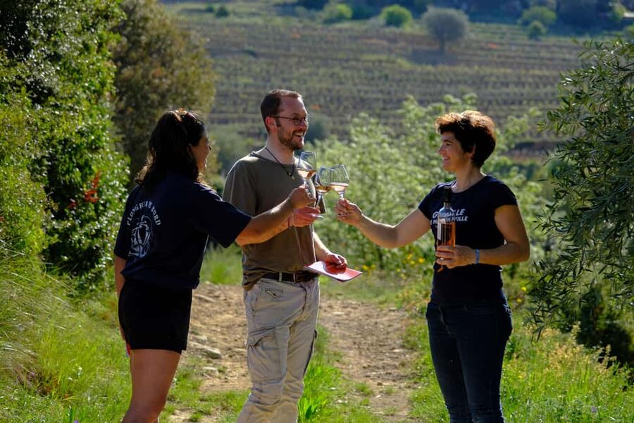 Bandol: Family Vineyard Tour and Tasting - Timing, price, and booking flexibility