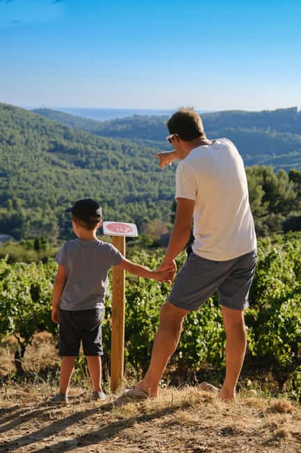 Bandol: Family Vineyard Tour and Tasting - Walking the restanque vineyards