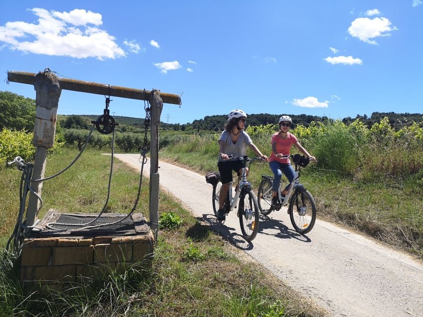 Barcelona: Bike & Wine Guided Tour - Penedès vineyards - Key points to know before booking