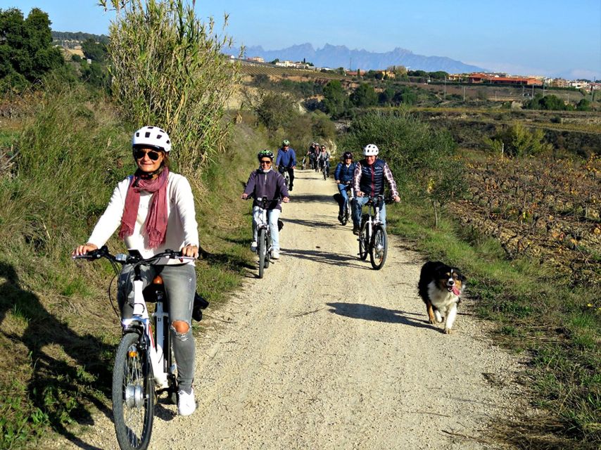 Barcelona: Bike & Wine Guided Tour - Penedès vineyards - Timing, cancellation, and useful planning details