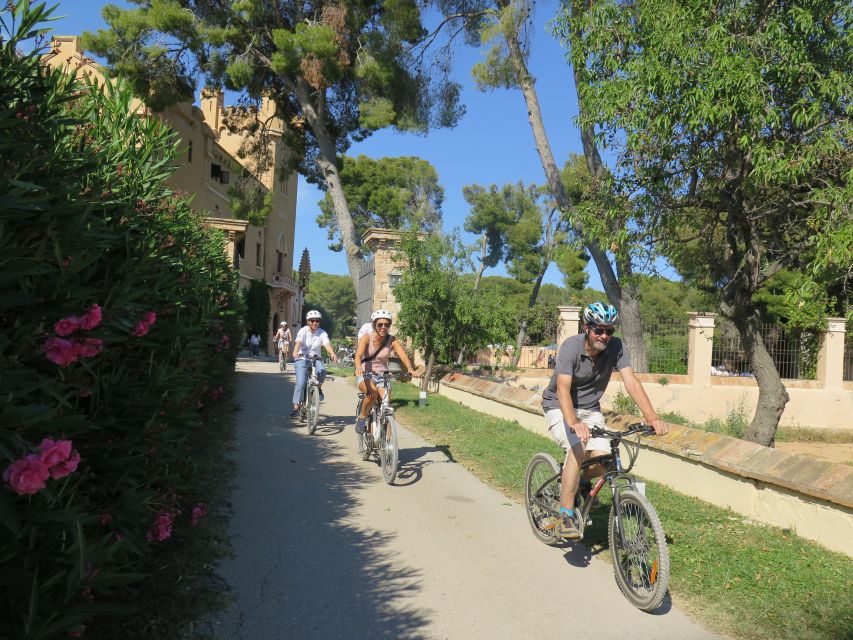 Barcelona: Bike & Wine Guided Tour - Penedès vineyards - Pedaling through the Penedès vineyards