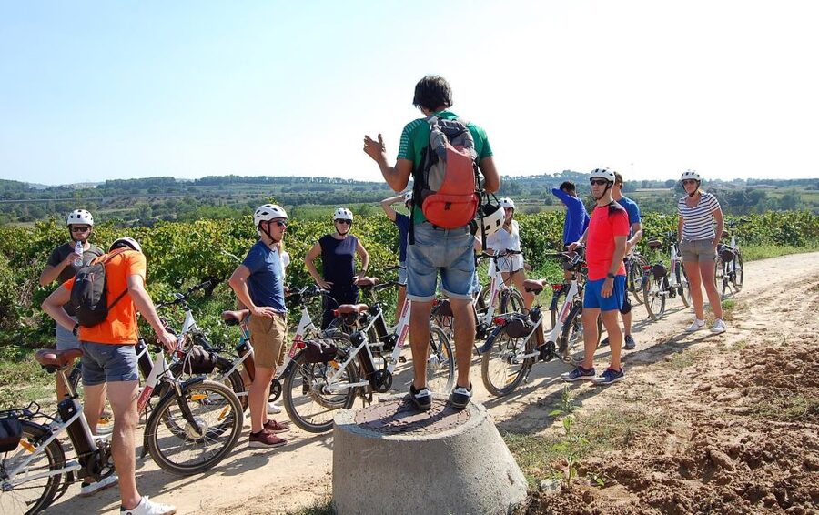Barcelona: Bike & Wine Guided Tour - Penedès vineyards - Tasting local wines and cava