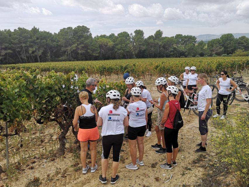 Barcelona: Bike & Wine Guided Tour - Penedès vineyards - How much value do you get for $96?
