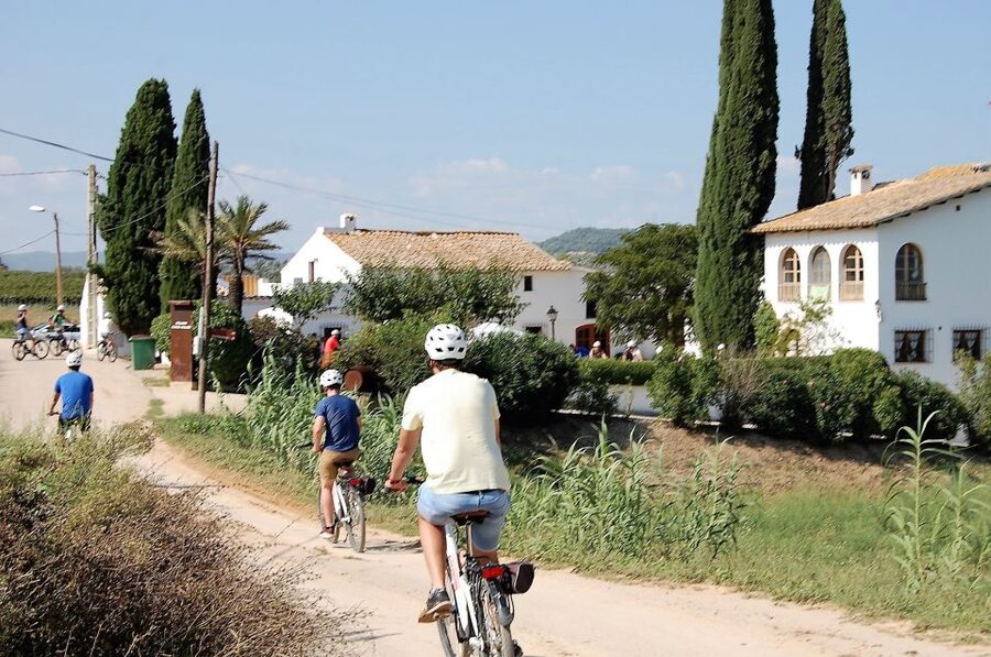 Barcelona: Bike & Wine Guided Tour - Penedès vineyards - Who will enjoy this four-hour outing?