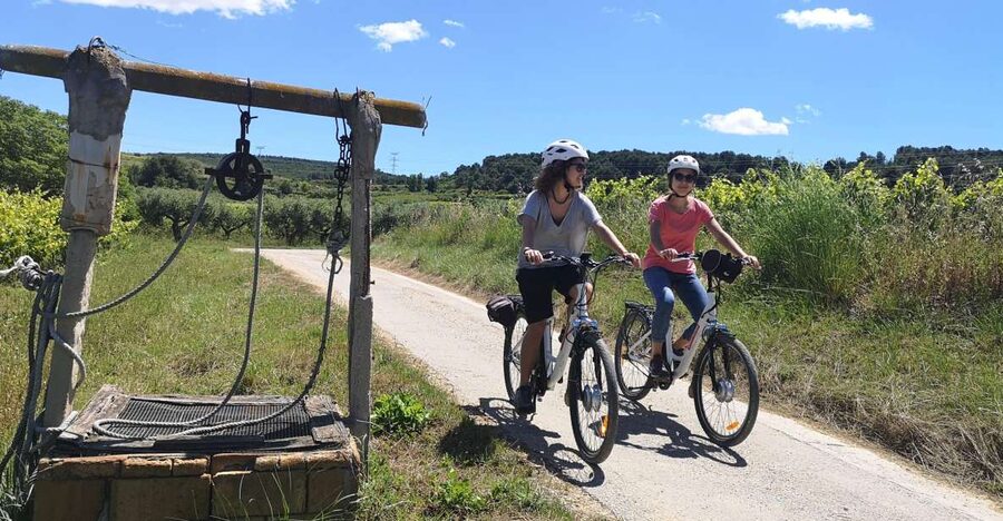 Barcelona: Bike & Wine Guided Tour - Penedès vineyards - Starting at Lavern-Subirats train station