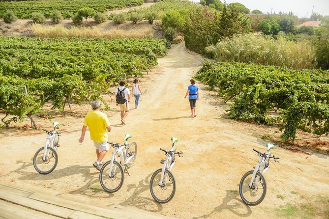 Barcelona eBike Beach Private Tour to Vineyards & Picnic - Taking the train back with heavy eBikes