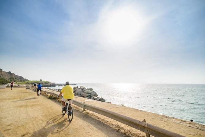 Barcelona eBike Beach Private Tour to Vineyards & Picnic - Arc de Triomf, Born, and the finish