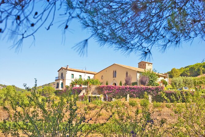Barcelona eBike Beach Private Tour to Vineyards & Picnic - What the $302.33 price gets you