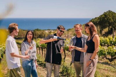 Sailing Cruise & Vineyard Tour with Wine Tasting